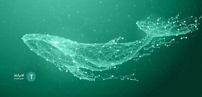 whale crypto