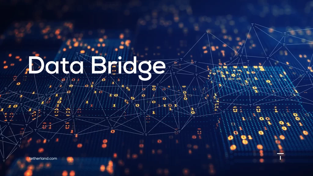 دیتابریج در STP