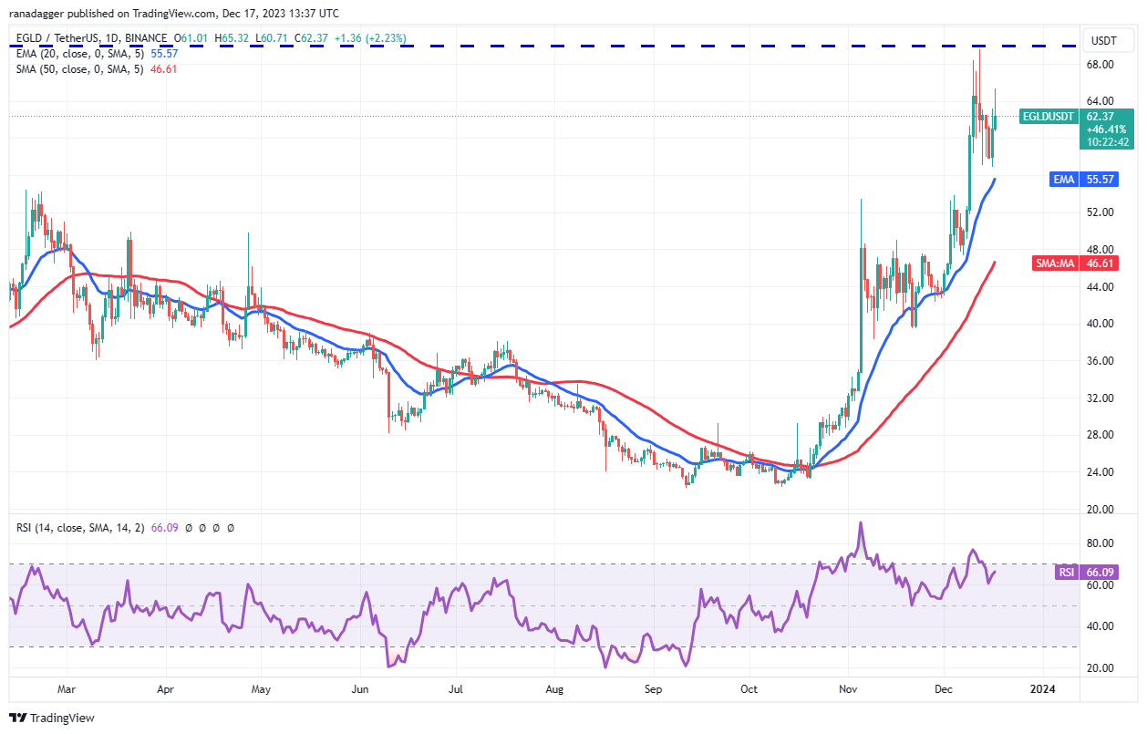 نمودار روزانه EGLD/USDT