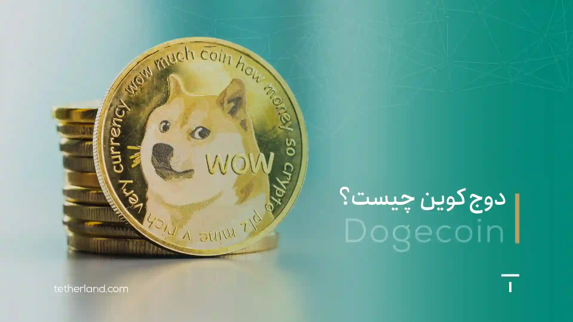 میم کوین چیست؟ هر چیزی که باید درباره Memecoin بدانید
