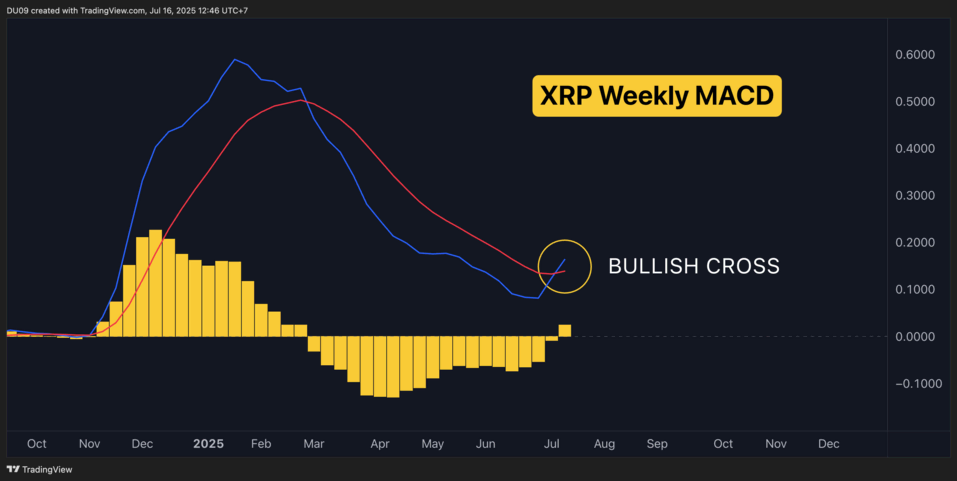 اندیکاتور MACD ریپل