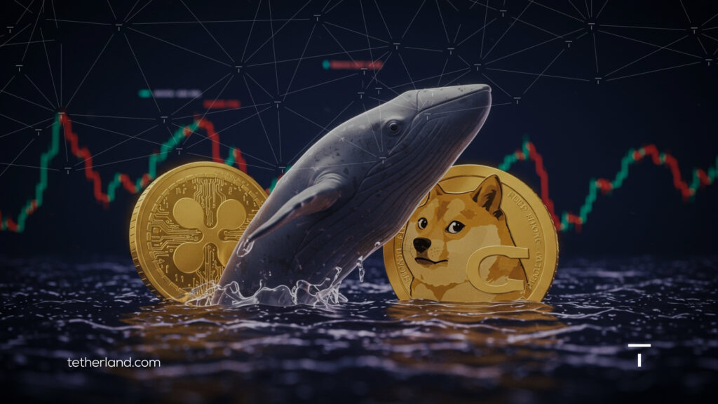 خرید میلیونی ریپل توسط نهنگ‌ها و بازگشت قدرتمند دوج‌کوین
