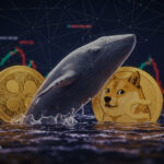 خرید میلیونی ریپل توسط نهنگ‌ها و بازگشت قدرتمند دوج‌کوین