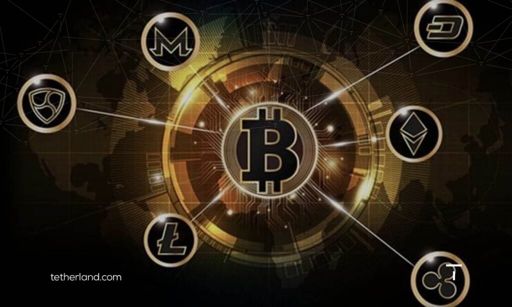 چگونه تشخیص دهیم یک کوین همراه بیت کوین رشد خواهد کرد؟