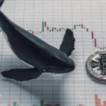 نهنگ‌ها چه می‌کنند؟ داده‌های آنچین چه سیگنالی به بازار می‌دهند؟