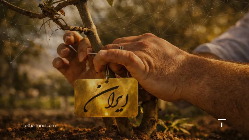 کاشت نهال تولد ۸ سالگی تترلند